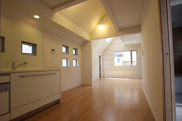 Other introspection. LDK (9 May 2013) Shooting