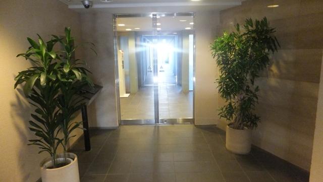 Entrance. Common areas