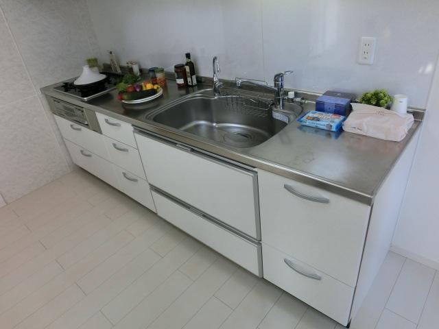 Kitchen. Indoor (12 May 2013) Shooting