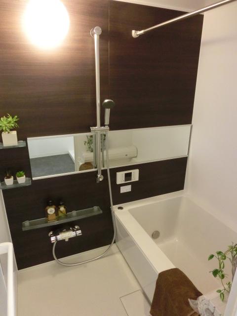 Bathroom. Indoor (12 May 2013) Shooting