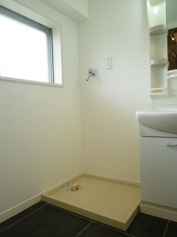 Other. Laundry Area