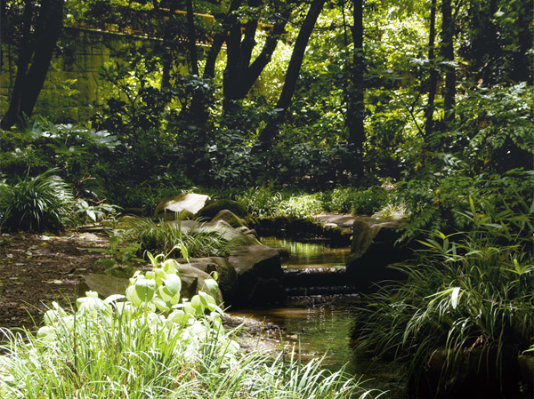 Surrounding environment. Hayashi試 of Forest Park (about 800m / A 10-minute walk)