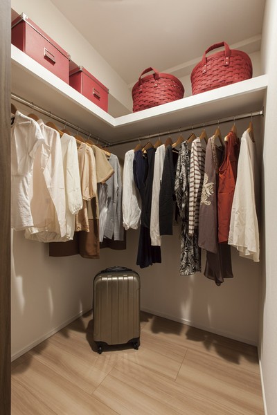Other. "Walk-in closet" of large-scale storage of hanger pipe and shelves are provided (except for the F type such as some type)