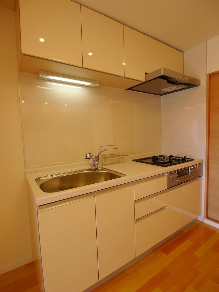 Kitchen. Local (09 May 2013) Shooting
