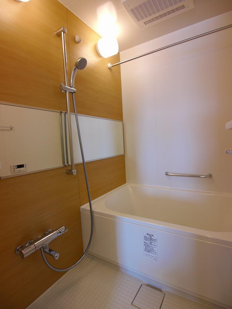 Bathroom. Local (09 May 2013) Shooting