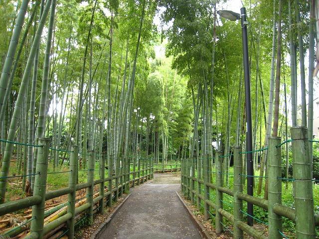 park. 767m until the sparrow of Oyado parkland