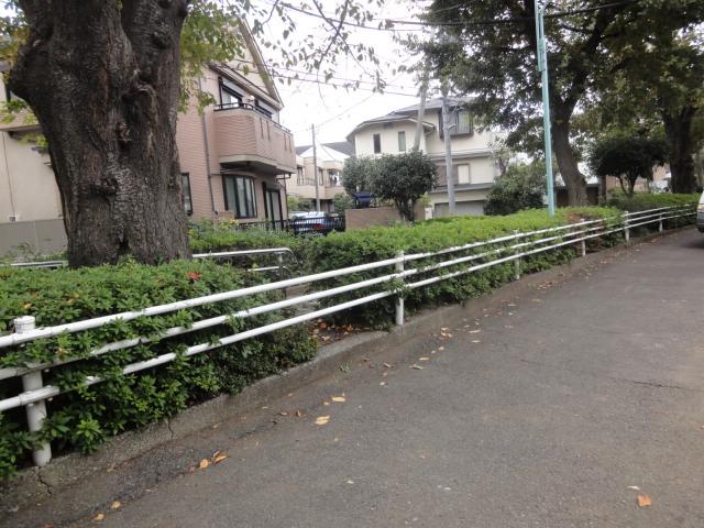 Other. Surrounding environment: local (11 May 2013) Shooting