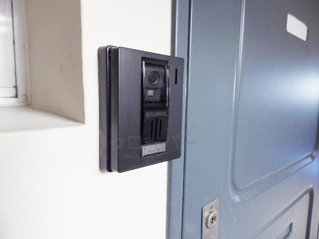 Other introspection. Monitor with intercom