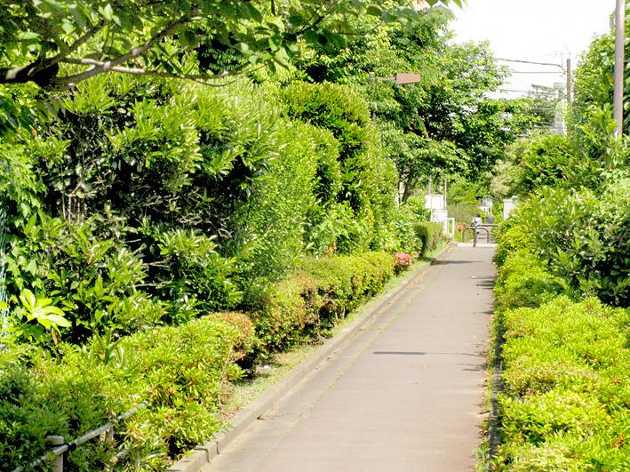 park. 516m until Jakuzure River tributary green road