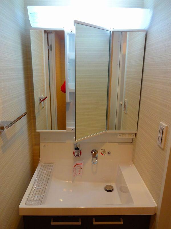 Wash basin, toilet. Bathroom vanity