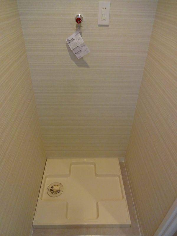 Other introspection. Washing machine Storage