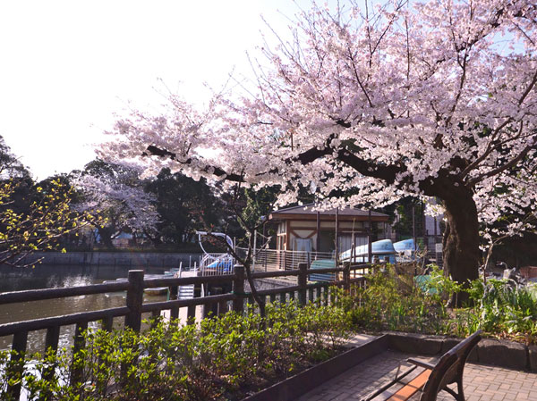 Surrounding environment. Himonya park (walk 11 minutes ・ About 820m)