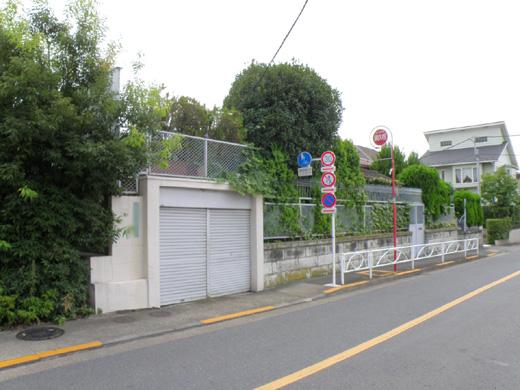 Local photos, including front road