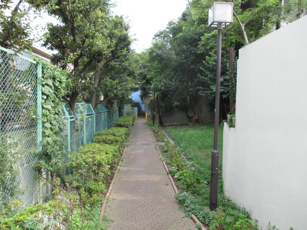 Local photos, including front road. ~ Facing the east side green road ~ August 2013 shooting