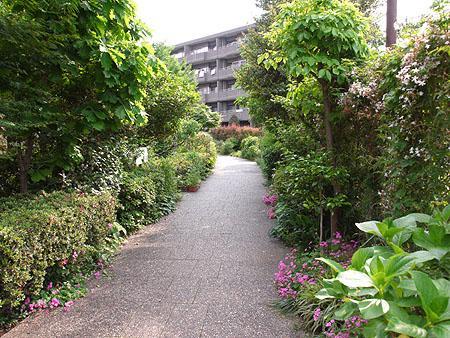 Other local. Upon exiting the back door ~ Yato River green road ~ We are healed of the green, Please enjoy the life that has been wrapped in nature