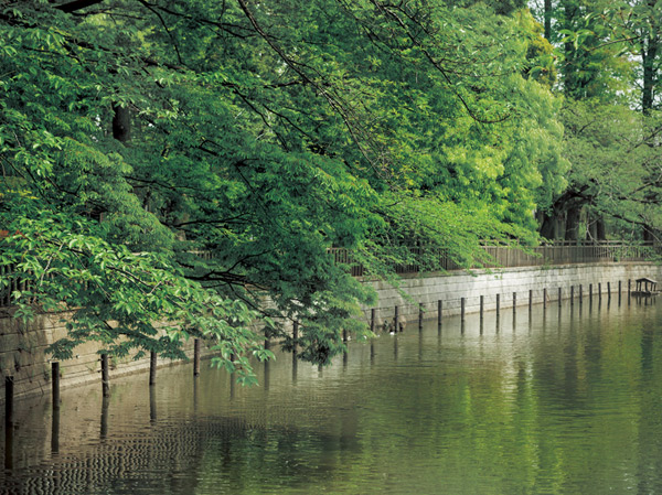 Surrounding environment. Municipal Himonya park (about 500m ・ 7-minute walk)