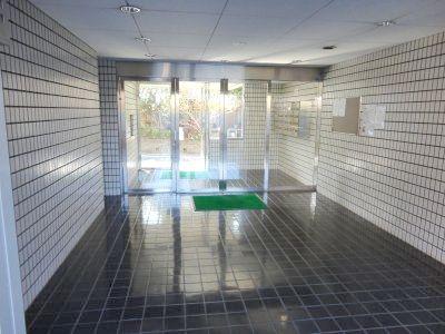 Entrance. Common areas