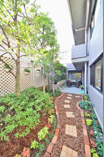 Garden. Seiwa is dedicated garden