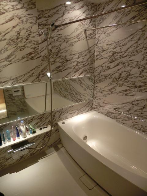 Bathroom. Indoor (February 2013) Shooting