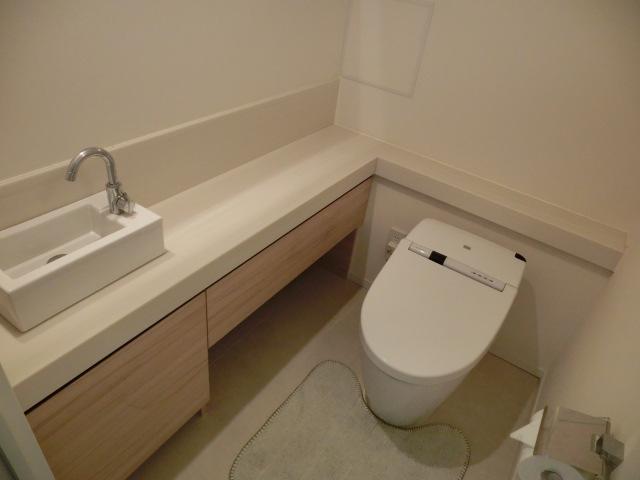Toilet. Indoor (February 2013) Shooting