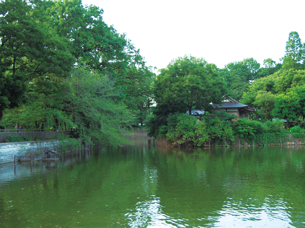 Surrounding environment. Himonya park (about 760m ・ A 10-minute walk)