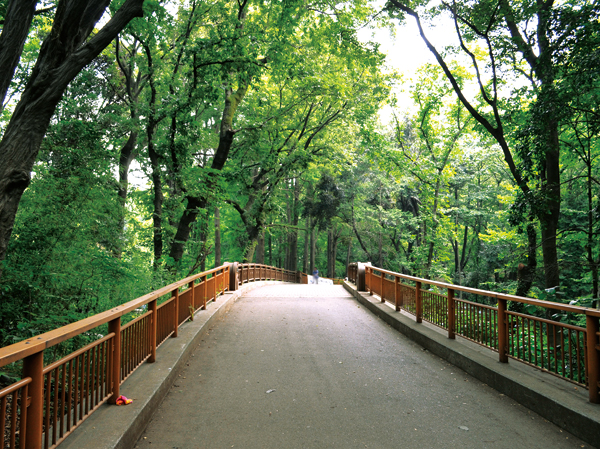 Surrounding environment. Hayashi試 of Forest Park (about 1.3km ・ Walk 17 minutes ・ Bike about 7 minutes)