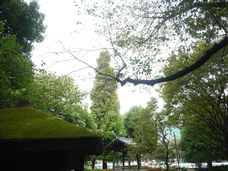 park. 916m to Meguro Kumin Center park