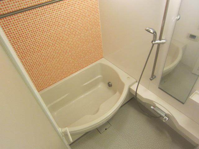 Bathroom. Indoor (12 May 2013) Shooting