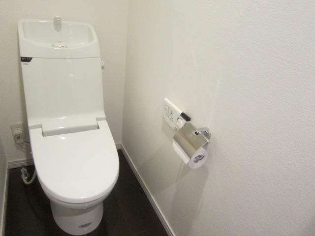 Toilet. Indoor (12 May 2013) Shooting