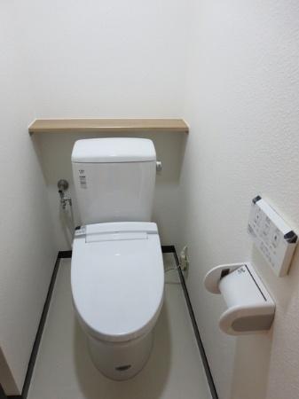 Toilet. Bidet with function