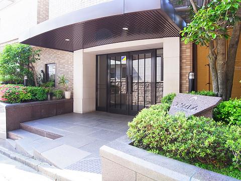 Entrance. Common areas