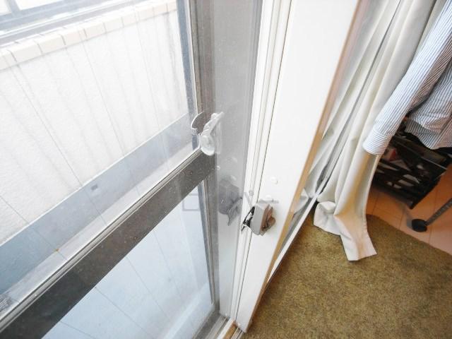 Other introspection. Double sash