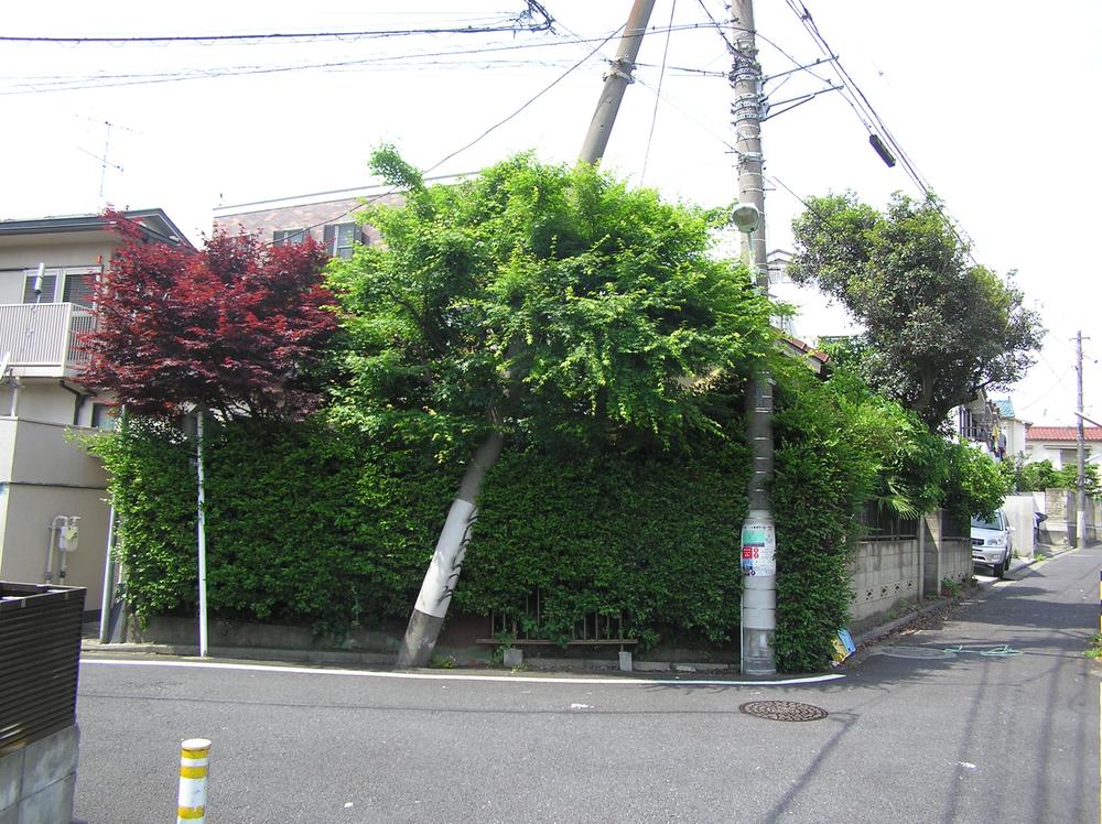 Local photos, including front road. Local (March 2013) Shooting