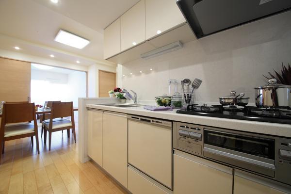 Kitchen. Indoor (12 May 2013) Shooting