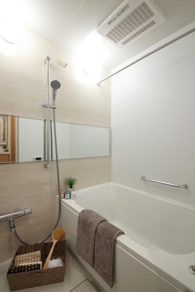 Bathroom. Indoor (12 May 2013) Shooting
