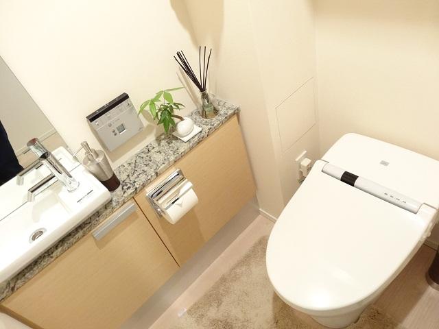 Toilet. Toilet (December 2013) Shooting