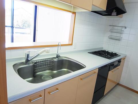 Kitchen. Counter Kitchen