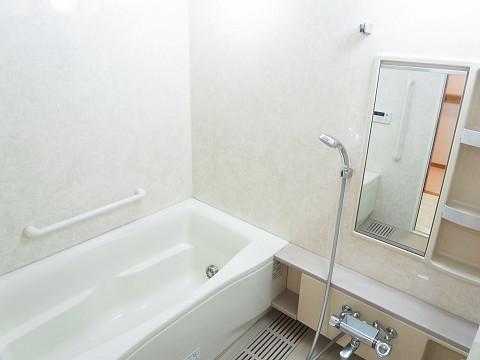 Bathroom. A clean bathroom