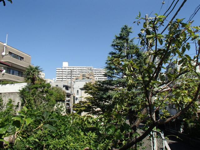 Other. Local (11 May 2013) Shooting