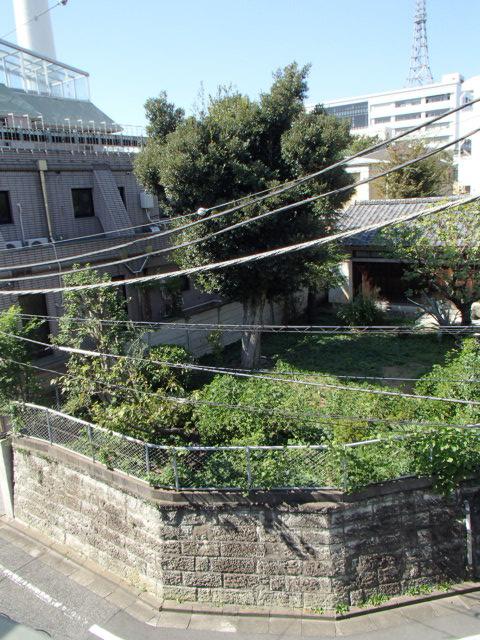 Local land photo. Local (11 May 2013) Shooting