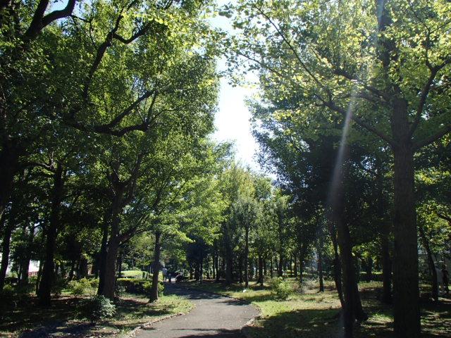 Other local. Local (11 May 2013) Shooting