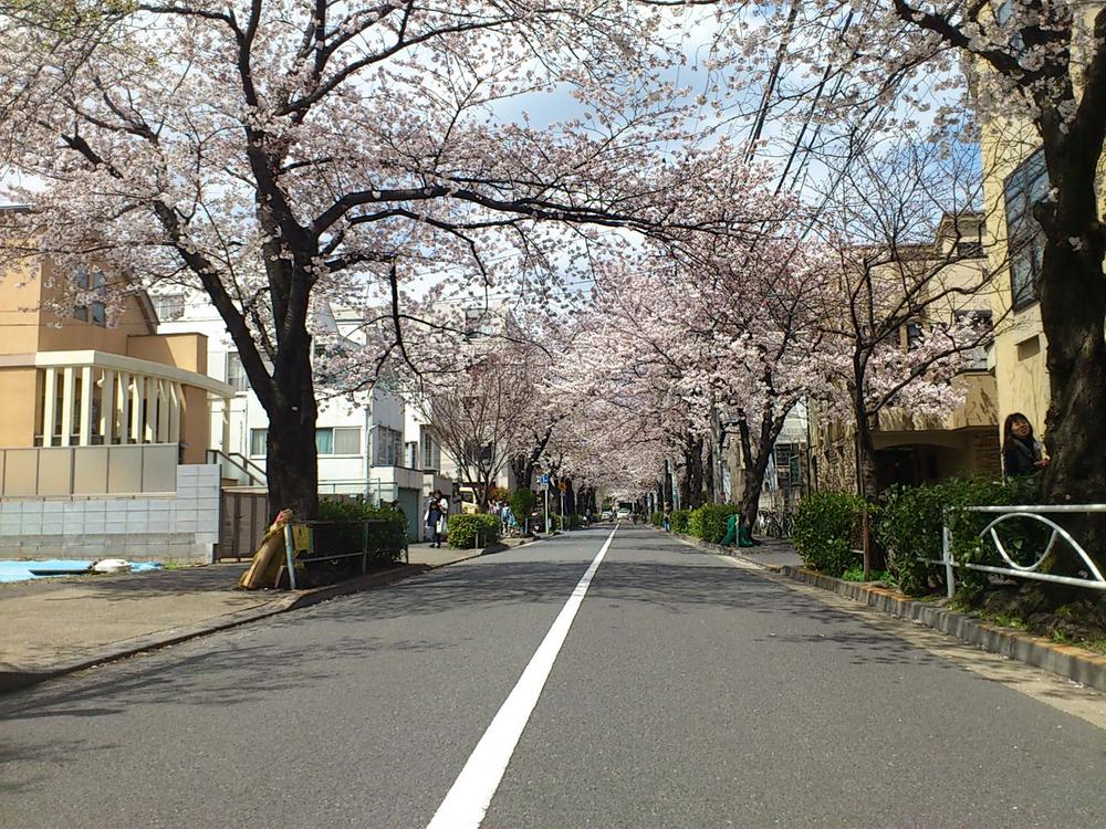 Local photos, including front road. Local (April 2013) Shooting