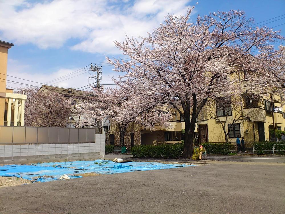 Other local. Local (April 2013) Shooting