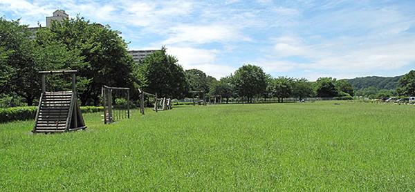Other Environmental Photo. Hayashi試 Forest Park