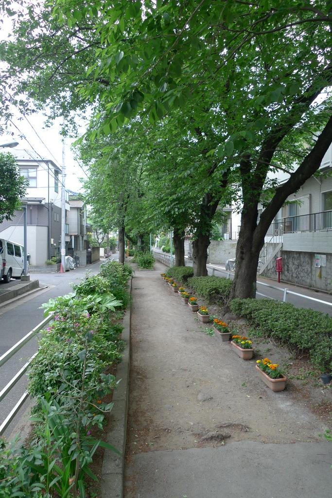 Other. Continues until Metropolitan University Station "呑川 green road"