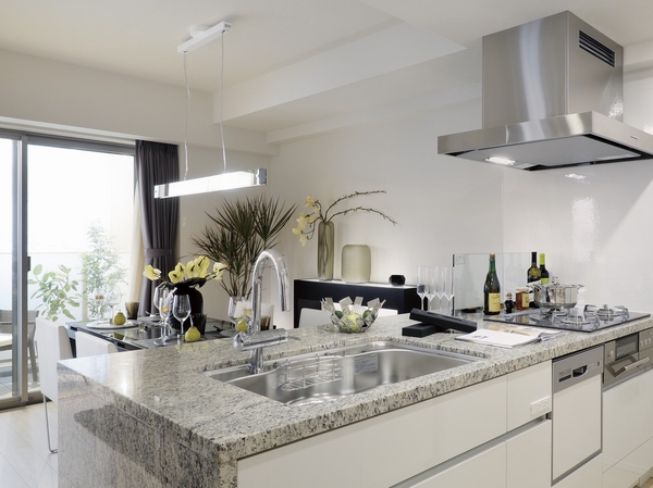 Dishwasher ( ※ Kitchen boasts equipment of enhancement, including 1)