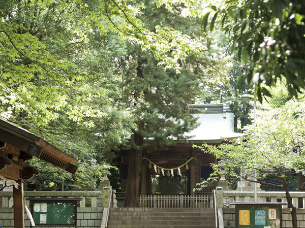 Surrounding environment. Himonya Hachiman (about 320m ・ 4-minute walk)