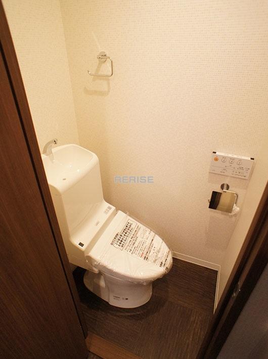 Toilet. Washlet toilet