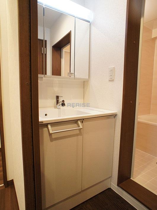 Wash basin, toilet. Vanity with a shower head