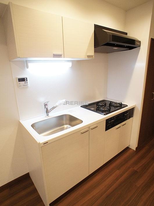 Kitchen. Water purifier built-in system kitchen